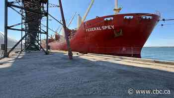 Grain being shipped out of Port of Churchill for 1st time in 6 years
