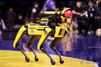 ICE to spend $2M on robot dogs for immigration crackdown