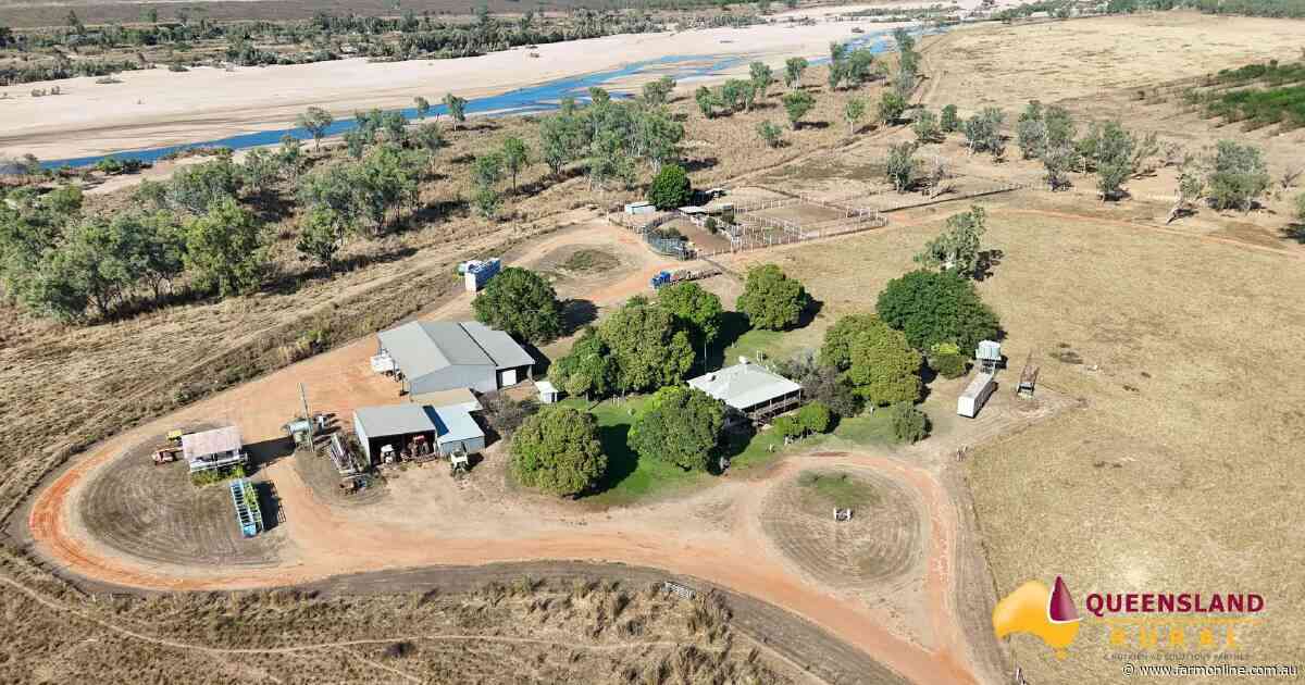 Impressive Blanncourt delivers outstanding northern productivity | Video