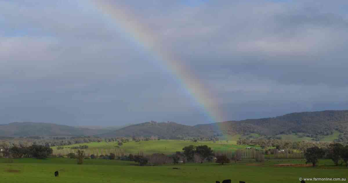 Surprise El Nino year rain helps farmers weather a record input cost storm