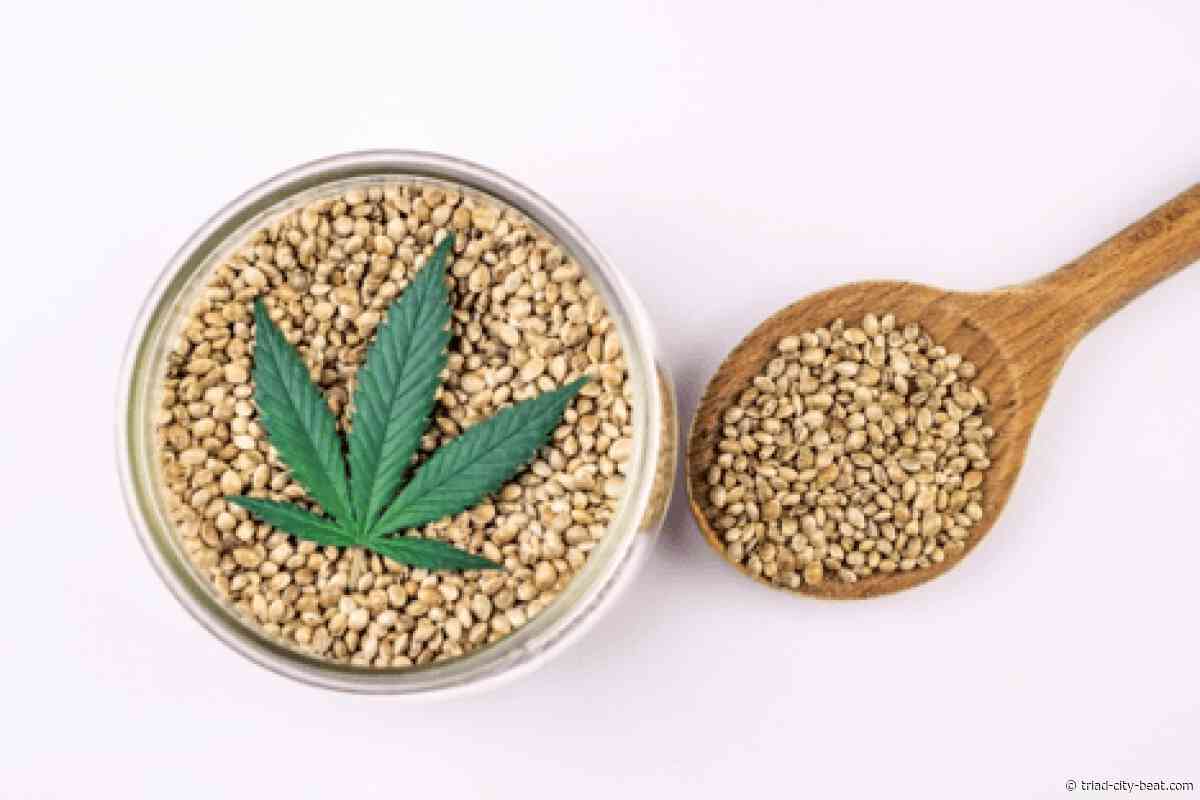 Growers Choice Seeds Builds Its Next Phase Around Genetics, Education, and Expert-Led Content