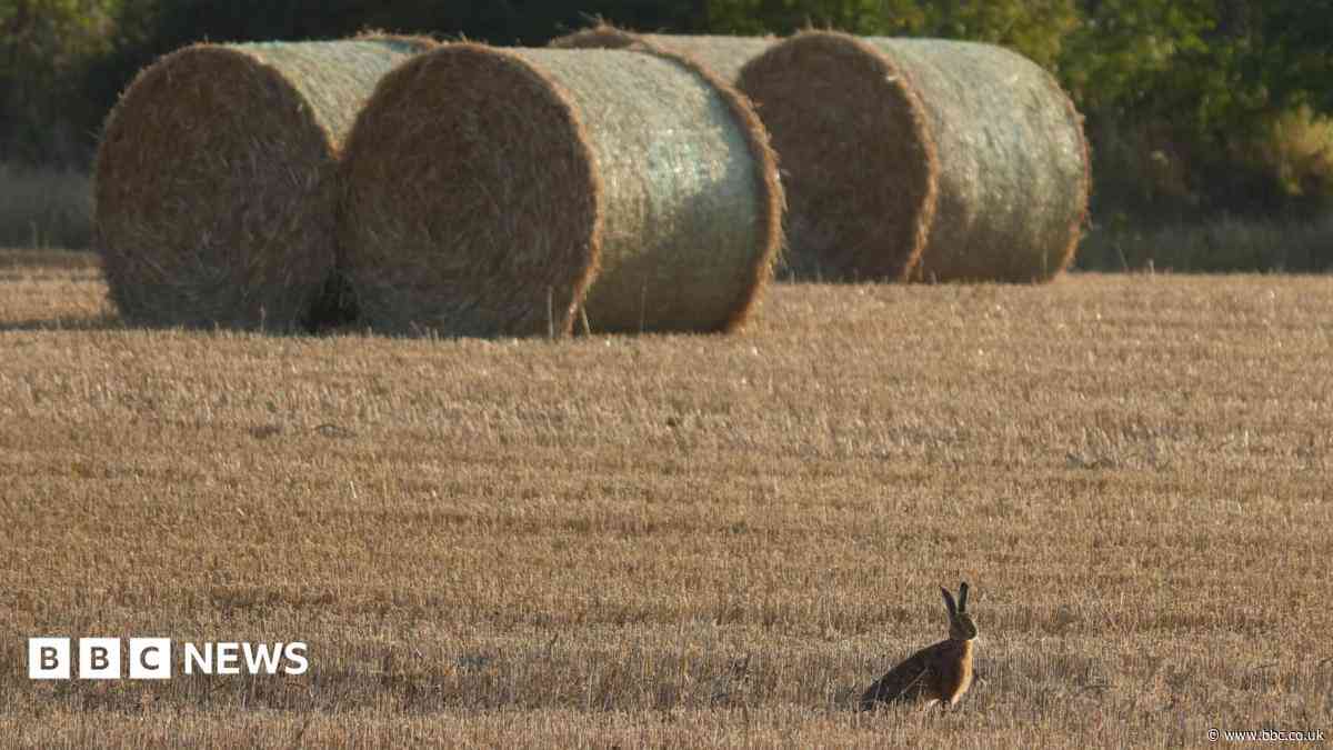 Your photos as August draws to a close