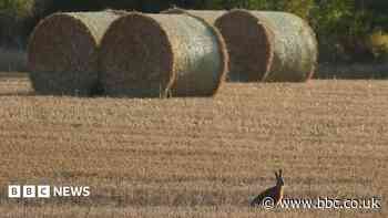 Your photos as August draws to a close