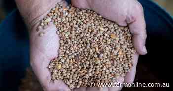 Extraordinary growth: Australia's changing position in the global lentil market