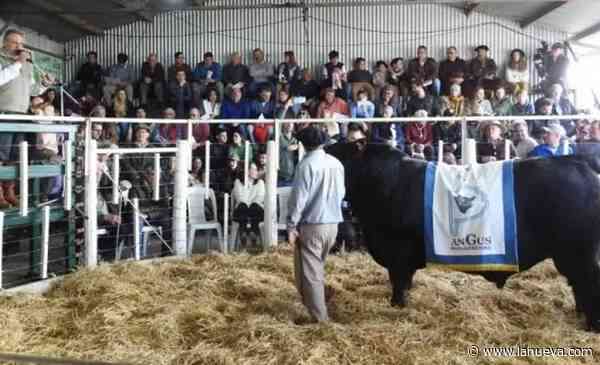 El campo llega a las ciudades: comienza el circuito de exposiciones rurales en la zona