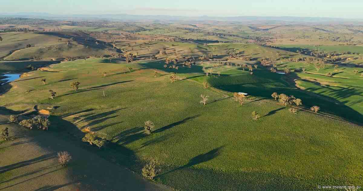 Standout North Tahara hits the market with $55 million price expectations