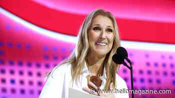 Céline Dion greets fans in ultra-rare appearance as she prepares for comeback of a lifetime