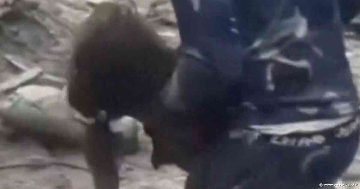 Rare miracle in Nepal as 6-year-old pulled from jaws of death