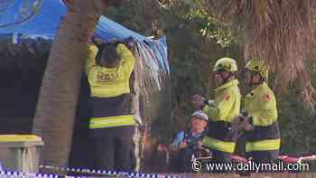 Tragic new details emerge after baby found dead in a Sydney rubbish bin