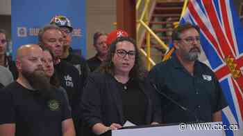 Labour unions launch campaign calling for future B.C. Ferries vessels to be built in the province