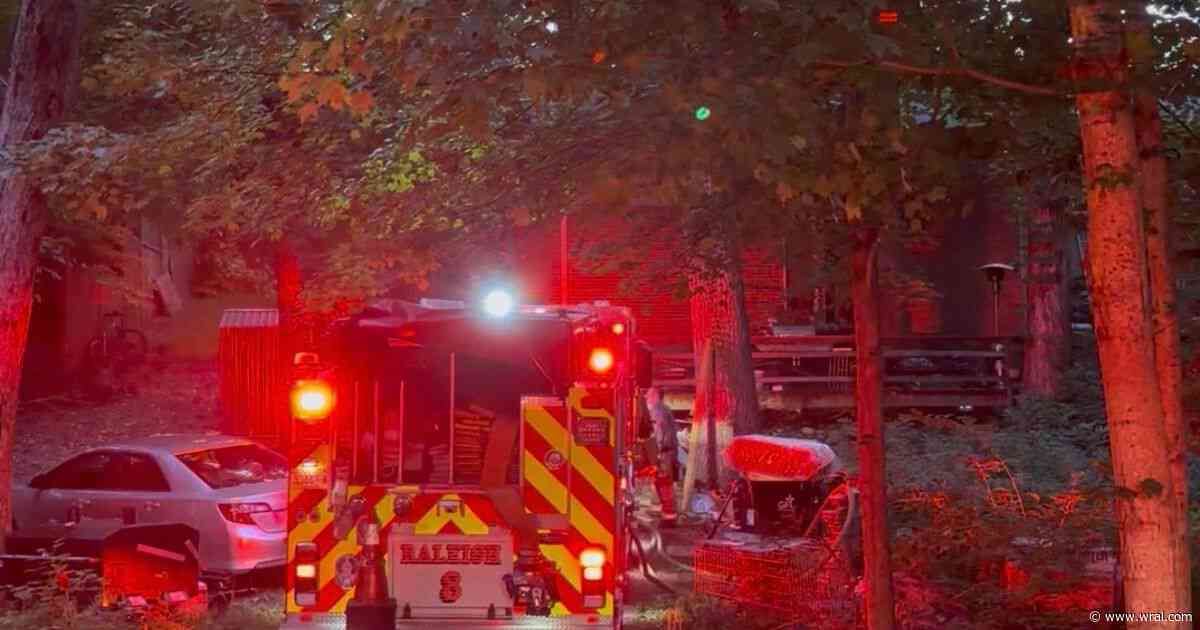2 dogs die from Raleigh house fire
