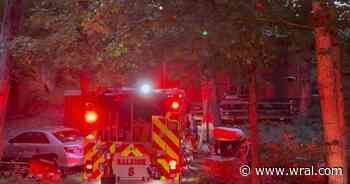 2 dogs die from Raleigh house fire