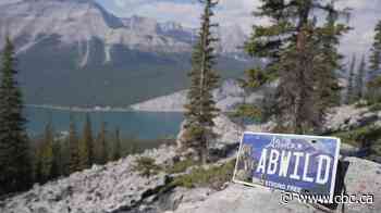 New Alberta licence plate to support conservation