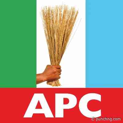 Gombe APC gov candidate vows to replicate private sector strides