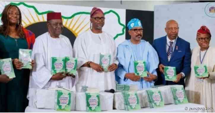 Building more hospitals won’t make healthcare affordable – Experts
