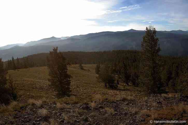 Evacuation orders, alerts downgraded for Cariboo’s Big Bar Complex wildfire