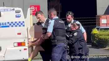 Alleged knifeman is arrested at an Aussie airport after scuffle with police