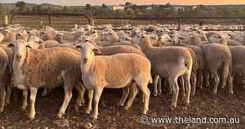 'Nature does it all for us': the low-input success story at Cymbric Vale
