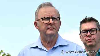 Anthony Albanese hits back after China warned there would be 'consequences' if diplomatic move with Taiwan goes ahead