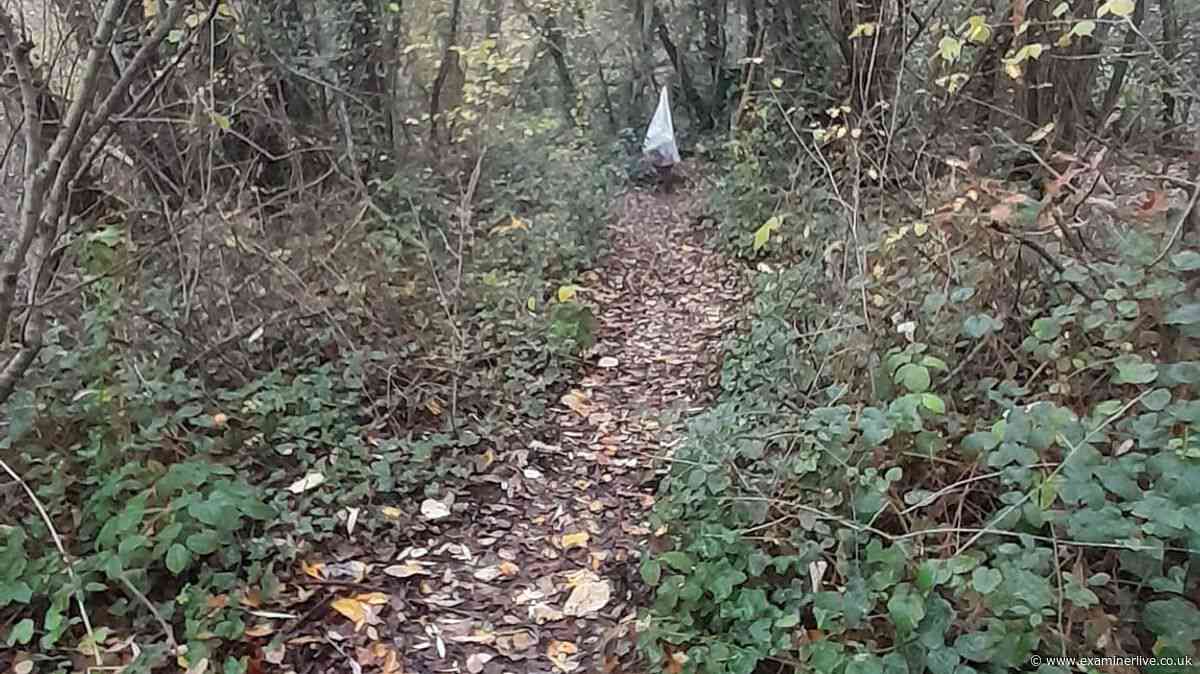 Angler's shock after 'unconscious naked man' found near M62 sex meet-up spot