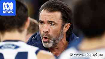Cats coach speaks for first time since club's concussion fine