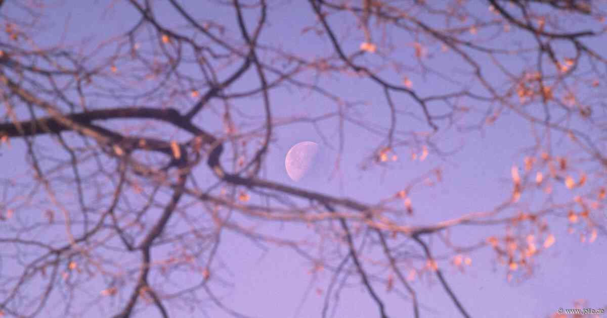 Horoskop heute: Dein Tageshoroskop am 1. September 2026