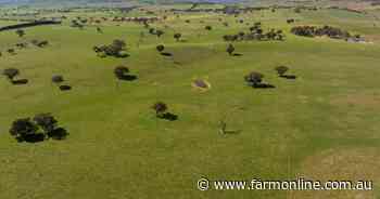Sunbury a highly productive dryland cropping, livestock enterprise | Photos