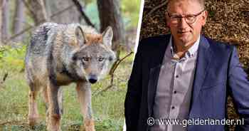 Harold Zoet vraagt ‘Den Haag’ om begrip: ‘Met alleen rasters lossen we problemen met de wolf niet op’