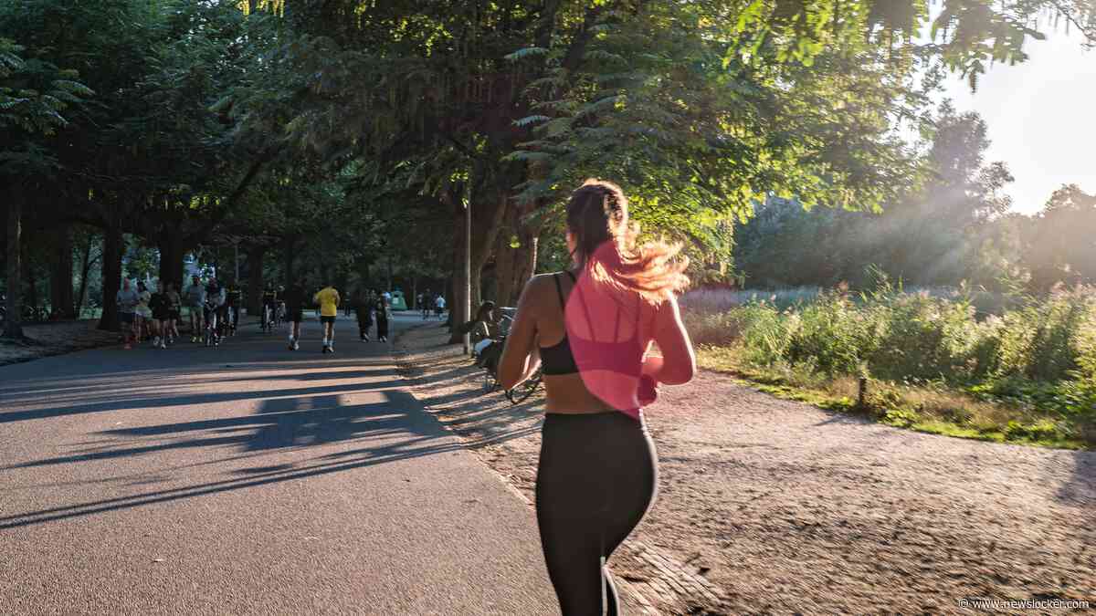 Na regen komt zonneschijn: zomerweer keert terug met temperaturen boven de 20 graden