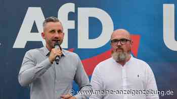Wer sind die führenden Köpfe der AfD in Sachsen-Anhalt?