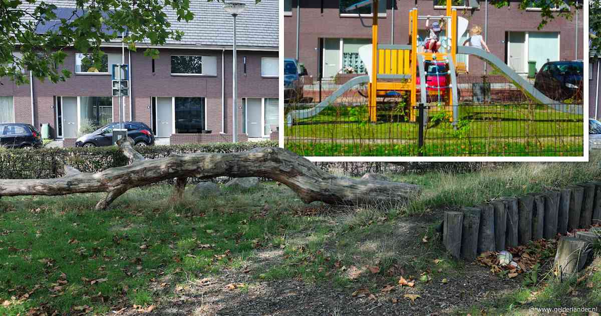 Geen glijbaan of klimrek meer, maar een boomstronk: buurt treurt om troosteloze speelplek