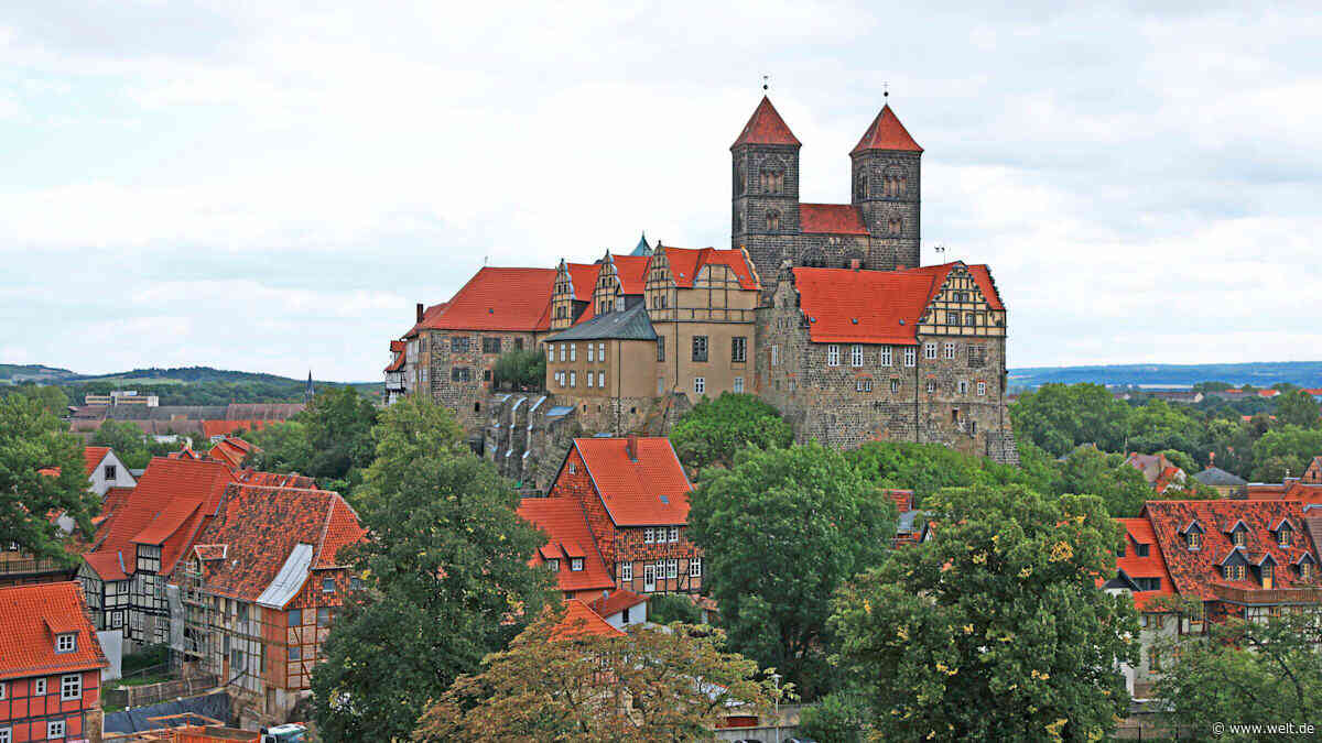 „Sachsen-Anhalt braucht Zuwanderung“ – ostdeutscher Top-Ökonom warnt vor AfD-Effekt