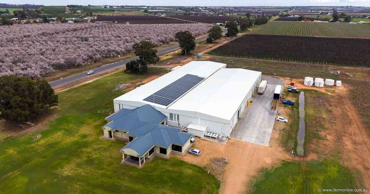 Major SA stone fruit business for sale with a $10 million price tag