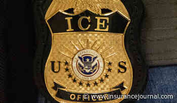 Viewpoint: Subsidized Immigration Enforcement Insurance – What Could Go Wrong?
