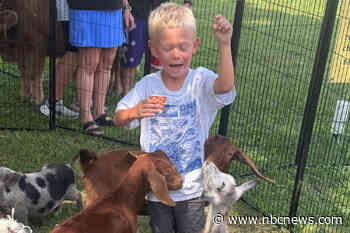 Her son fed goats at a petting zoo. He might’ve been exposed to rabies.