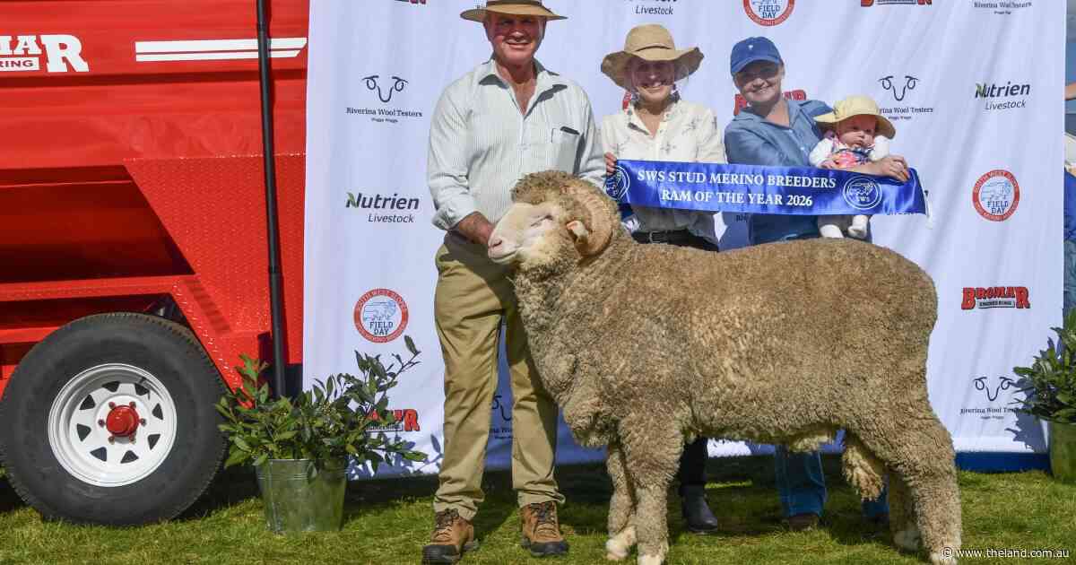 Back-to-back win for Boorowa stud at South West Slopes Merino field day