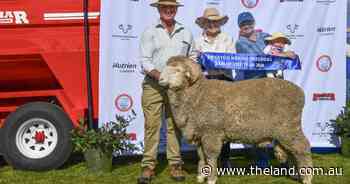 Back-to-back win for Boorowa stud at South West Slopes Merino field day