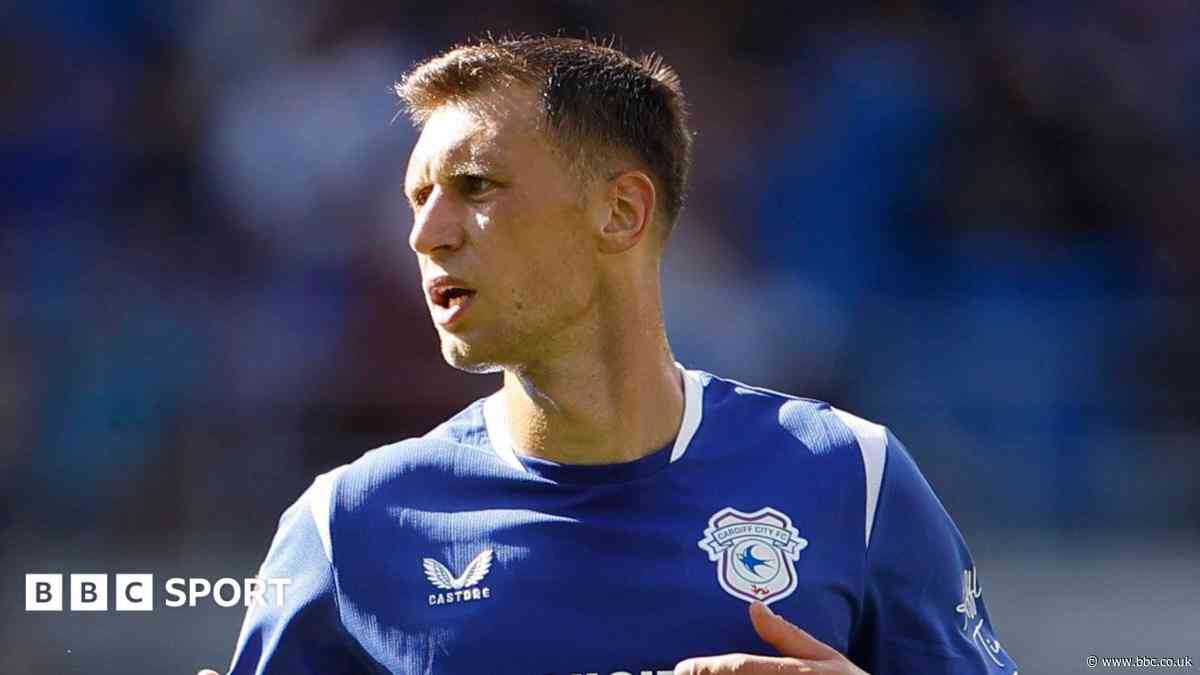 Cardiff can reach Championship play-offs - Bielik