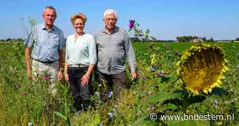 Agrarisch natuurbeheer in opmars: waarom steeds meer boeren kiezen voor bloemrijke akkerranden