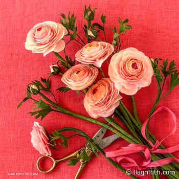 Crepe Paper Salmon La Belle Ranunculus Video Workshop