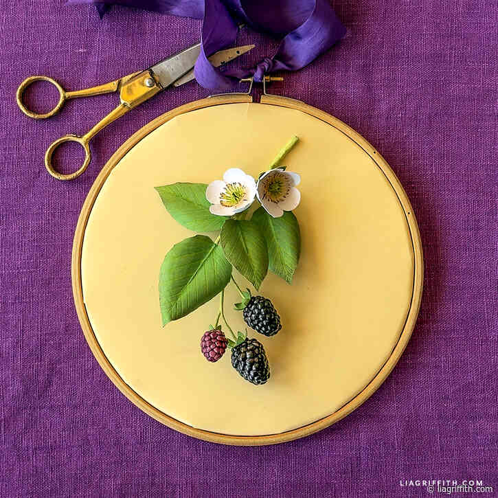 Mounted Paper Blackberry Artwork