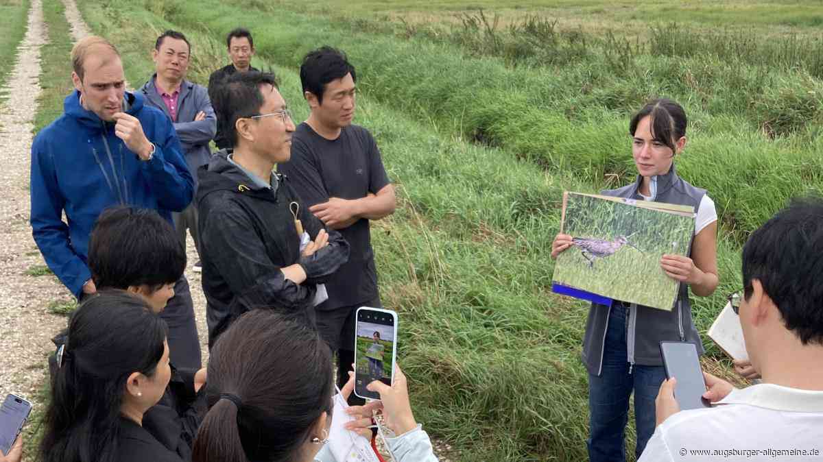 Chinesische Staatsdelegation informiert sich im Donaumoos