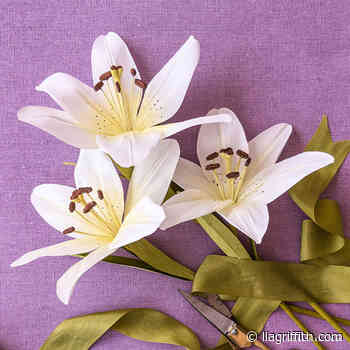 Crepe Paper Asiatic Lilies Video Workshop