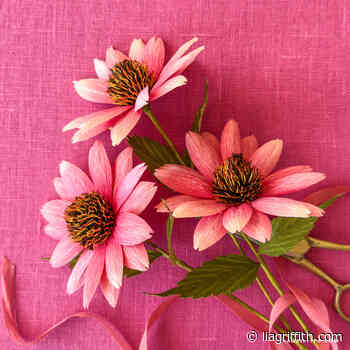 Crepe Paper Pink Echinacea Video Workshop