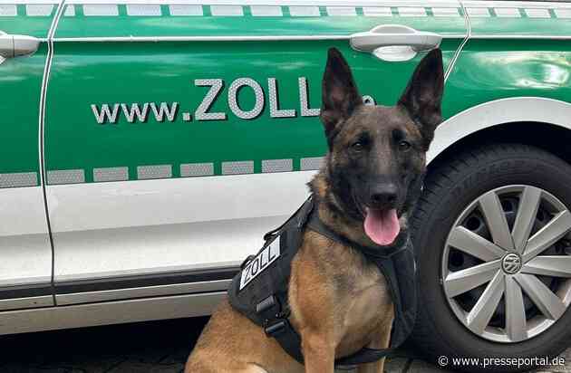 HZA-DU: Zollhündin Tessa macht ersten großen Rauschgiftfund - Gemeinsame Pressemitteilung der Staatsanwaltschaft Kleve und des Hauptzollamts Duisburg