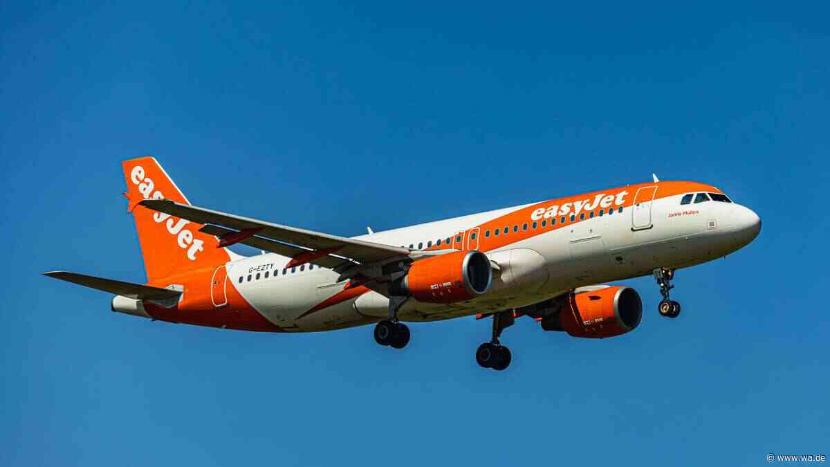 EasyJet sucht Hunderte Flugbegleiter ohne Altersobergrenze – diese Kriterien entscheiden