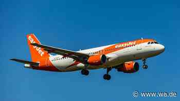 EasyJet sucht Hunderte Flugbegleiter ohne Altersobergrenze – diese Kriterien entscheiden