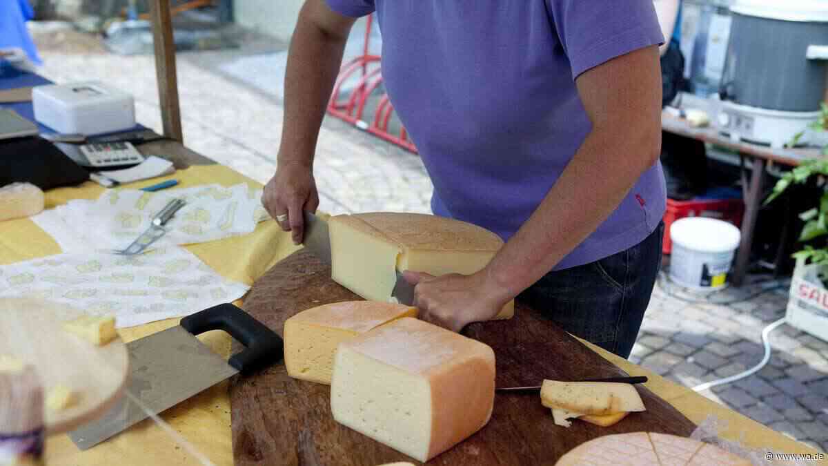 Größter Markt seiner Art mit verkaufsoffenem Sonntag: Hier dreht sich alles um Käse