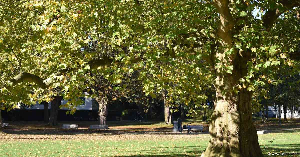 Zijn de warme dagen voorbij? Dit is de weersverwachting voor september in Deventer