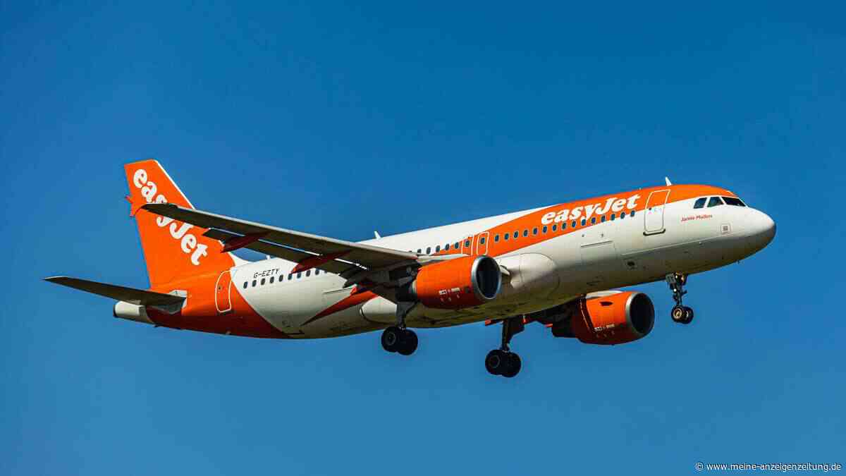 EasyJet sucht Hunderte Flugbegleiter ohne Altersobergrenze – diese Kriterien entscheiden